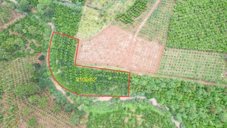 Lô đất giáp suối cách quốc lộ 20 4km phù hợp làm nhà nghỉ dưỡng, giá bán 1.785 tỷ