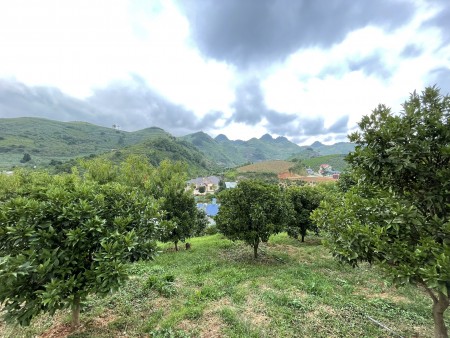 Đi đến slide 8