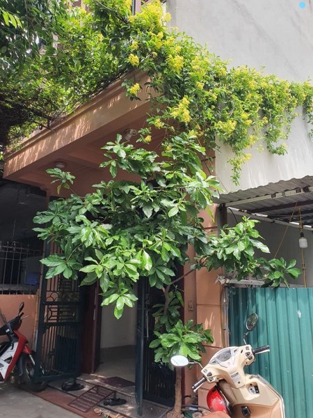 Giá 3 tỷ, ô tô Ngọc Thuỵ Long Biên, dt 60m2, 4 tầng, giá bán 3 tỷ, cực đẹp ô tô đổ cửa gần phố lớn