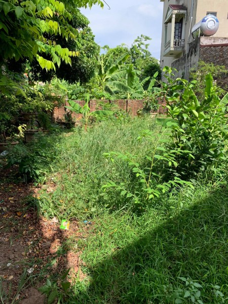 Bán 43m2 đất Linh Quy Bắc, Kim Sơn giá nhỉnh 1 tỷ, liên hệ 0983253436