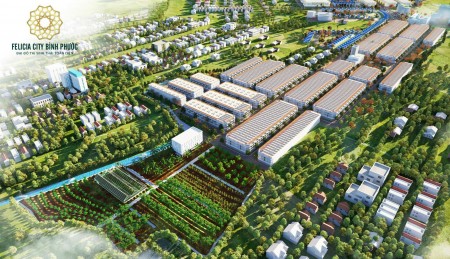 Ban gấp đất mặt tiền Phú Riềng, Bình Phước giá chuẩn đầu tư chỉ 380tr/100m2