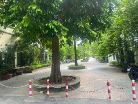 Biệt thự Châu Âu Mỹ Đình Cầu Giấy. Công viên dt 195m2 4 tầng, mt 9m giá 26 tỷ