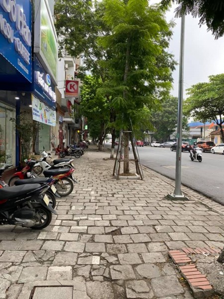 Mặt phố Cầu Giấy vỉa hè đá bóng, ngõ sau 6m kinh doanh đa dạng 55m giá 20.5 bán tỷ