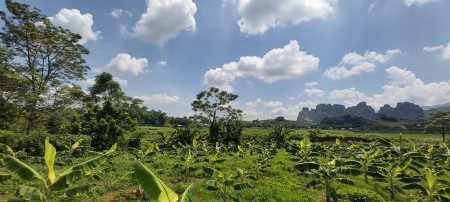 Đi đến slide 8