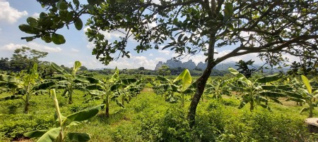 Đi đến slide 7