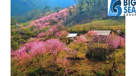 Bán đất Y Tý-SaPa2 vị trí đẹp,đắc địa, view hồ điều hòa Phìn Hồ 6HA, khai thác du lịch bốn mùa, biên độ tăng cao
