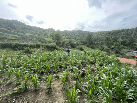 Đi đến slide 3
