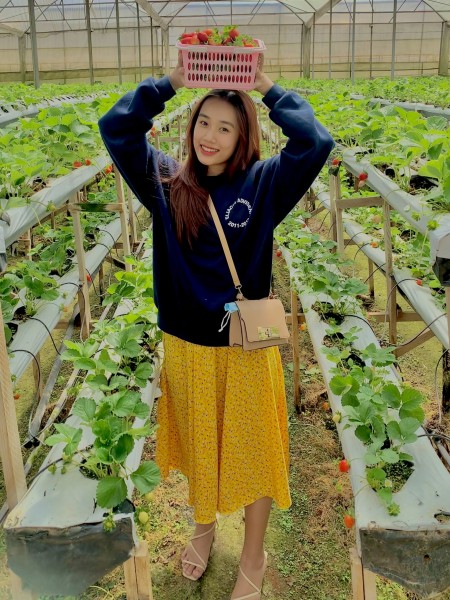 Phan Đoàn Kim Anh