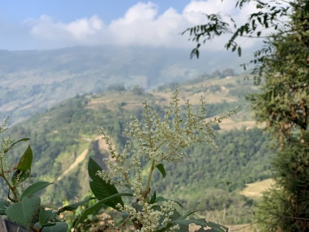 Đi đến slide 4