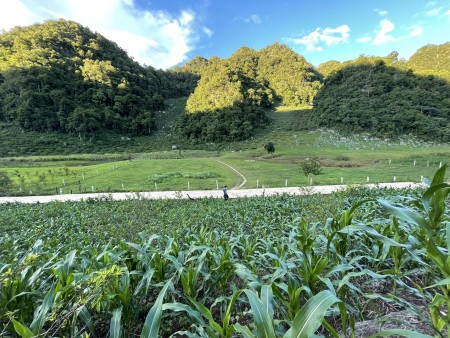 Đi đến slide 4