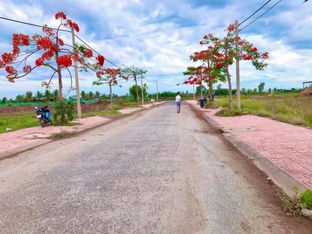 Nền đối diện chợ liền kề trường học, háp lý rõ ràng sổ hồng riêng sang tên trong ngày thổ cử 100%