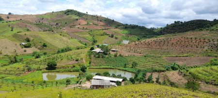 Bán đất Mộc Châu, tài chính vài trăm triệu/ ha đất, liên hệ 0376402368