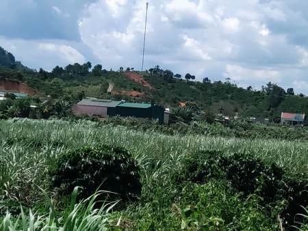 Đi đến slide 8