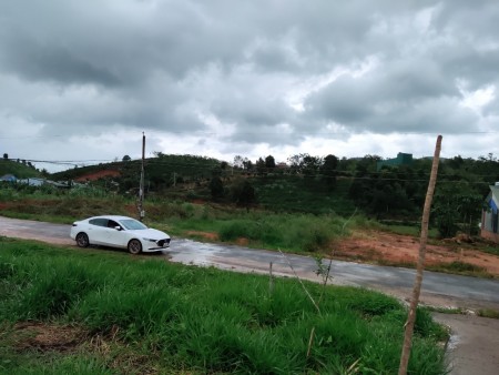 Đi đến slide 14