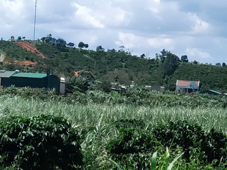 Đi đến slide 15