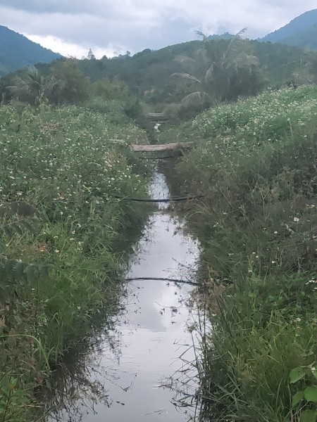 Đi đến slide 16