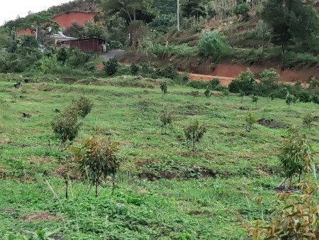 Đi đến slide 18