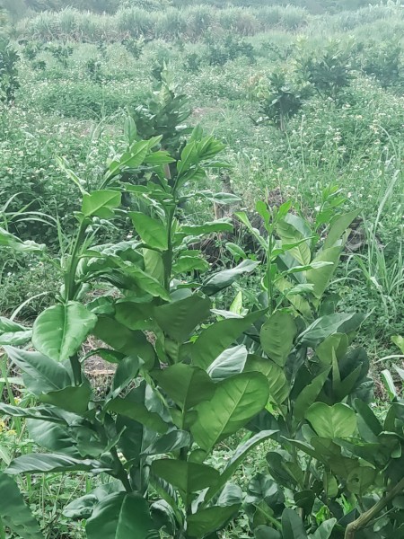 Đi đến slide 21