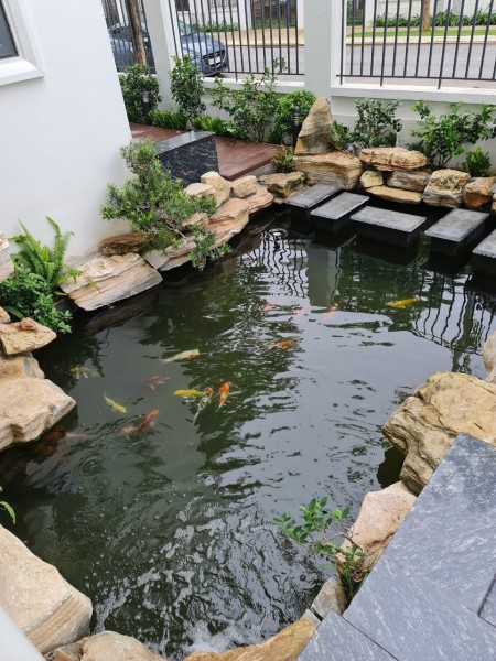 Times Garden Vĩnh Yên, nơi nâng cao phồn vinh và thịnh vượng, giá bán 7 tỷ, sổ riêng