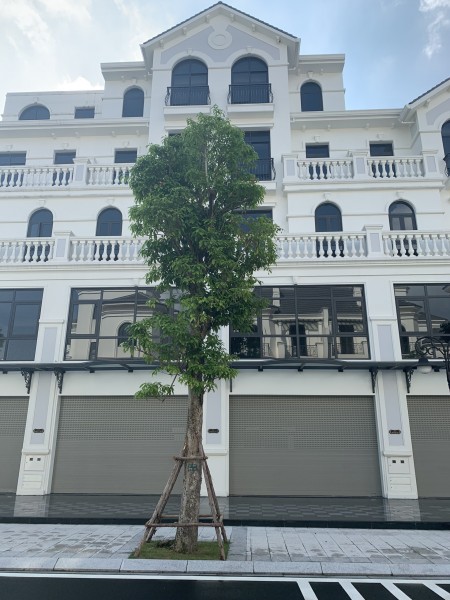 Shophouse Sao Biển 9A nằm ngay giữa 2 biển hồ của dự án Vinhomes Ocean Park giá từ 26tr/m2