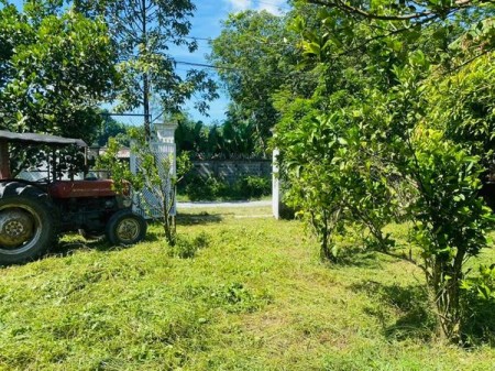 Cần bán lô đất hơn 1000m2, mặt tiền đường sẹc Nguyễn Thị Rành, Củ Chi, 300m2 thổ cư chỉ 6 tỷ đồng