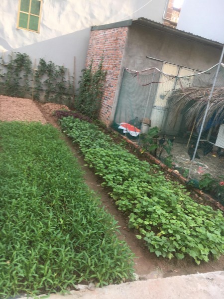 Cần tiền kinh doanh,bán gấp lô đất, giá rẻ tại vân canh hoài đức , giấy tờ pháp lý đầy đủ, LH:0866657649