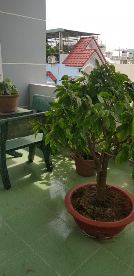 Đi đến slide 6