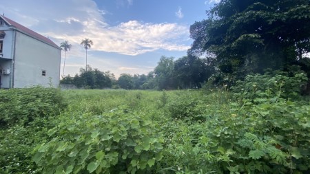 Bán đất diện tích rộng 1450m2 có 200m thổ cư view cánh đồng , Hoà Sơn Lương Sơn