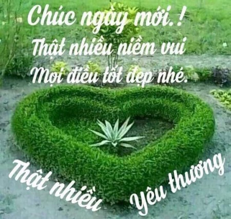 Đi đến slide 10