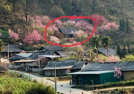 Bán đất Y Tý thôn Phìn Hồ view Hồ 22ha thế đất đẹp ngắm hoa đào. 0822356688