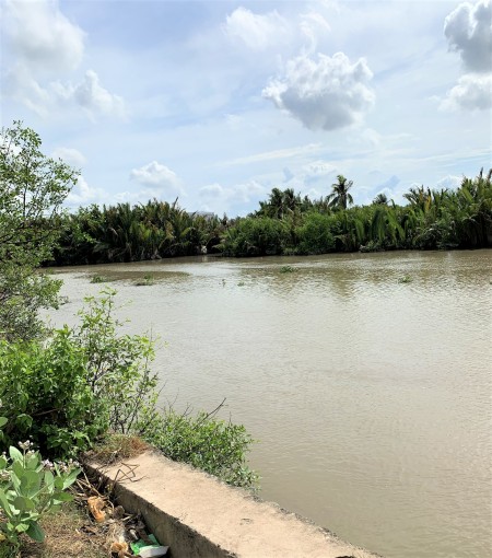 Đi đến slide 12