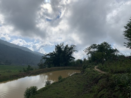 Đi đến slide 6