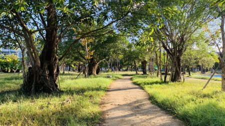 Đi đến slide 8