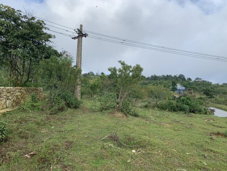 Đi đến slide 11