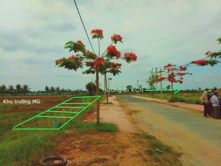 Bán đất 120m² đường dẫn ra khu công nghiệp Thạnh Phú, Bến Tre, lh 0329429939