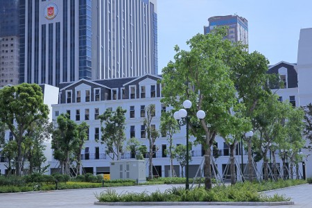 Bán căn Liền kề Cầu Giấy sân vườn rộng, phù hợp để ở, liên hệ 0907023278