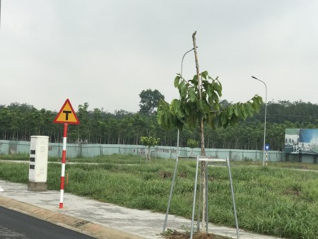 Đi đến slide 4