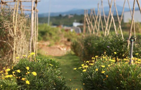 Đi đến slide 3