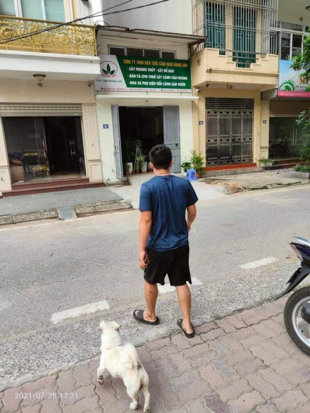 Mặt Phố Hồng Mai Bán Đất Tặng Nhà Cấp 4 Nhà 1 Mặt Phố 1 Mặt Ngõ Hai Bà Trưng