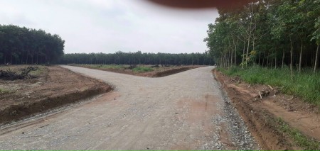 Siêu dự án Chánh Phú Hoà 53 thị xã Bến Cát, liên hệ 0385980683