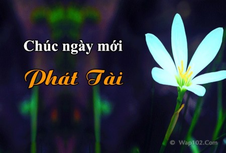 Đi đến slide 8