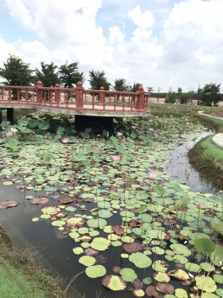 Đi đến slide 5