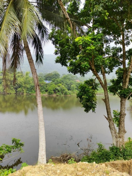 Đi đến slide 5