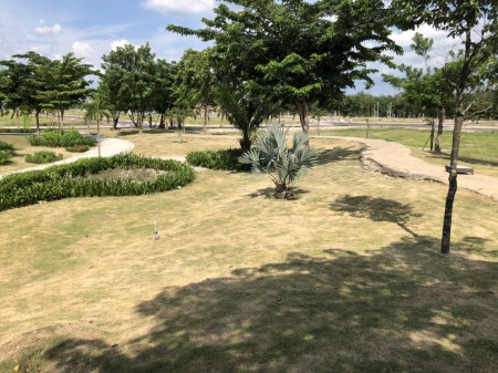 Do tình hình dịch bệnh nên tôi đành bán gấp lô đất 80m2, giá 690tr, ngay Kcn Bàu Bàng gần quốc lộ 13
