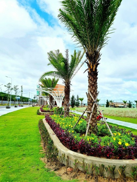 Đi đến slide 7