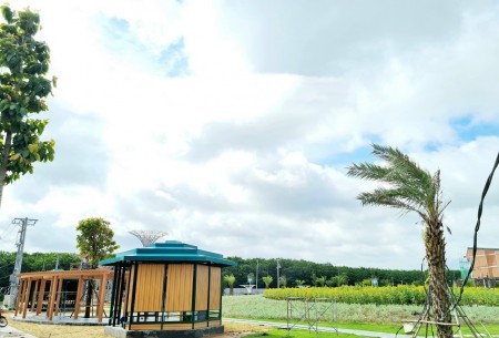 Đi đến slide 6