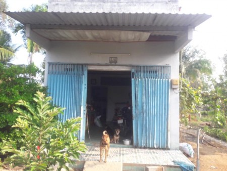 Bán đất mặt tiền Sông Sài Gòn xã Phú Hòa Đông, huyện Củ Chi. DT: 30m x 60m, chỉ 6,2 tỷ