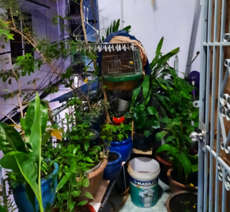 Đi đến slide 4
