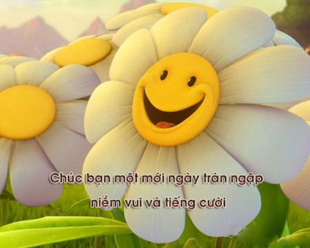 Đi đến slide 14