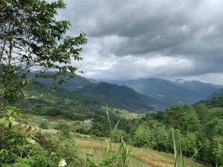 Đi đến slide 5